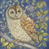 Fine art print of an original painting: 'Tawny Owl in the Honeysuckle'