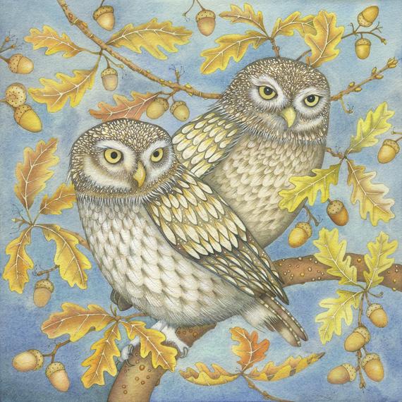 Fine art print of an original painting: 'Two Little Owls'