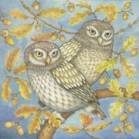 Fine art print of an original painting: 'Two Little Owls&#...