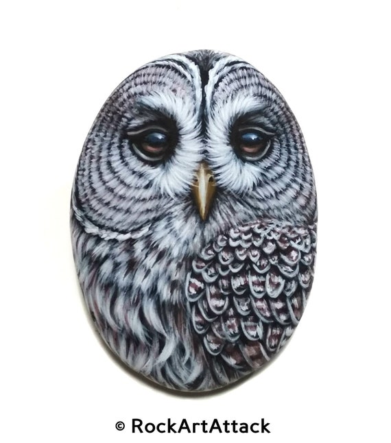 Barred Owl Acrylic Painting On Flat Sea Stone!Owl home decor. Finished with satin varnish. Painted stones, Bird Stone Art. Rock Painting Art