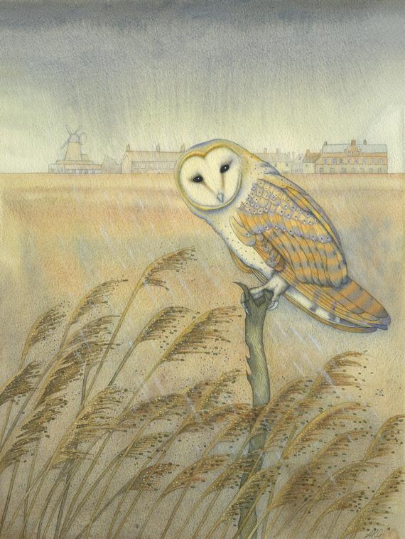 Fine art print of an original painting: 'Barn Owl at Cley'