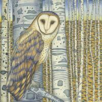 Fine art print of an original painting: 'Barn Owl in the Birch Wood'