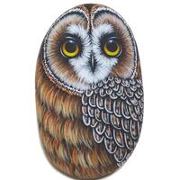 Hand Painted Pebble Short-eared Owl