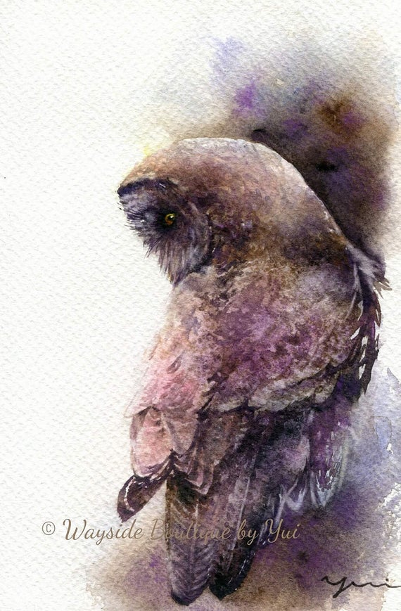 PRINT –Great grey owl Watercolor painting 7.5 x 11”