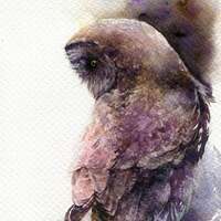 PRINT –Great grey owl Watercolor painting 7.5 x 11”