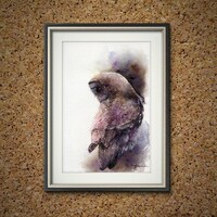 PRINT –Great grey owl Watercolor painting 7.5 x 11”