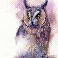 Horned owl - ORIGINAL watercolor painting 7.5x11 inches