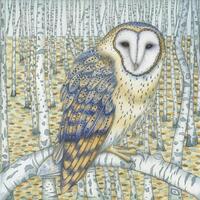 Fine art print of an original painting: 'Barn Owl Among the Birches'.