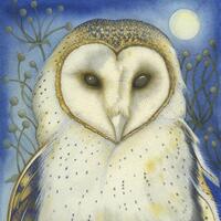Fine art print of an original painting: 'The White Owl'...
