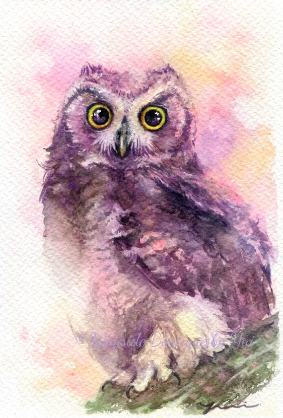 Little horned owl - ORIGINAL watercolor painting 7.5x11 inches