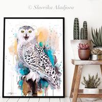 Snowy Owl  watercolor framed canvas by Slaveika Aladjova, Limited edition, art, animal, anim...