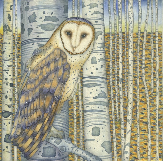 Single Greetings Card of an original painting: 'Barn Owl in the Birch Wood'.