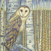 Single Greetings Card of an original painting: 'Barn Owl in the Birch Wood'.