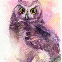 PRINT – Little Horned Owl - Watercolor painting 7.5 x 11...