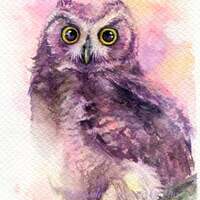 PRINT – Little Horned Owl - Watercolor painting 7.5 x 11”