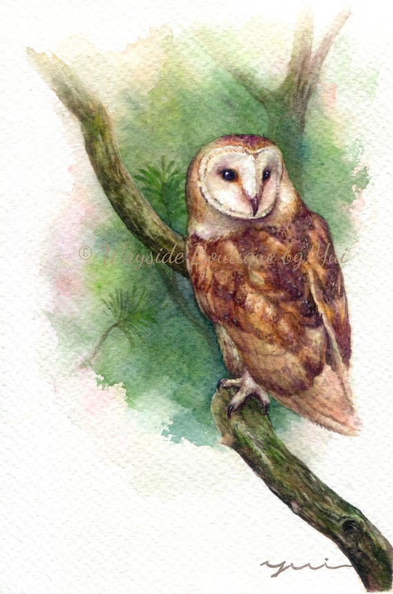 PRINT – Owl in forest - Watercolor painting 7.5 x 11”