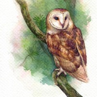 PRINT – Owl in forest - Watercolor painting 7.5 x 11”