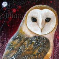 Mounted Barn Owl print: The Owl