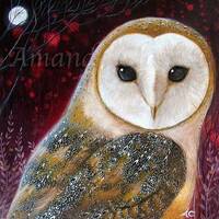 Mounted Barn Owl print: The Owl