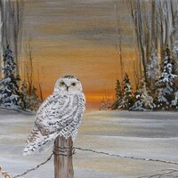 Snowy Owl at sunset oil painting: Snow Queen
