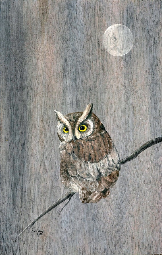 Screech Owl on a Branch