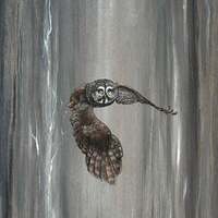 Great Grey Owl in flight oil painting: Night Flight