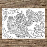 Owl with a Twist - Printable Adult Coloring Page from Favoreads (Coloring book pages for adu...