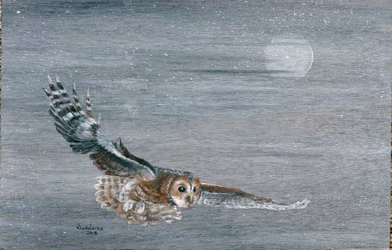 Whispering Wings - Barred Owl painting