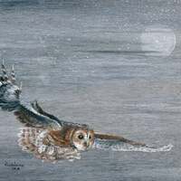 Whispering Wings - Barred Owl painting