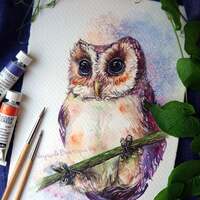 Owl - ORIGINAL watercolor painting 7.5x11 inches