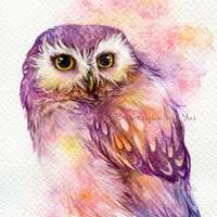 PRINT - Bright sweet owl- Watercolor painting 7.5 x 11”