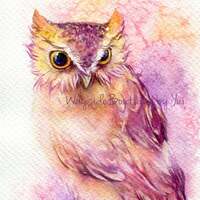 PRINT –Sweet owl - Watercolor painting 7.5 x 11”