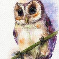 PRINT - Owl- Watercolor painting 7.5 x 11”