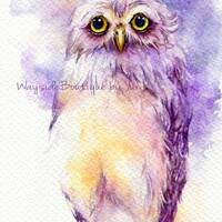 PRINT - Owl- Watercolor painting 7.5 x 11”