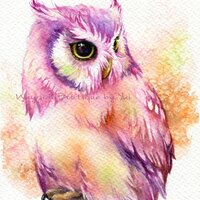 PRINT –Owl & Sweet Watercolor painting 7.5 x 11”