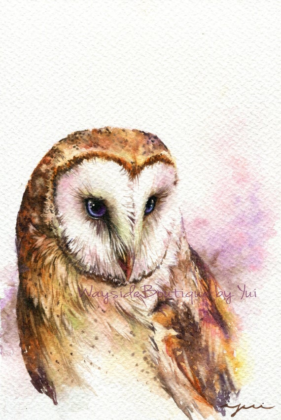 PRINT – Barn Owl - Watercolor painting 7.5 x 11”