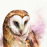 PRINT – Barn Owl - Watercolor painting 7.5 x 11”