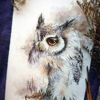 PRINT –Classic color owl Watercolor painting 7.5 x 11”