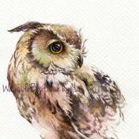 PRINT Owl Watercolor painting 7.5 x 11”