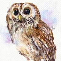 PRINT - Tawny Owl Watercolor painting 7.5 x 11”