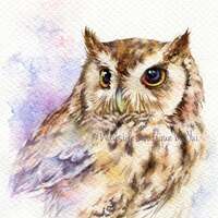 PRINT – Owl Watercolor painting 7.5 x 11”