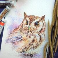 Owl - ORIGINAL watercolor painting 7.5x11 inches