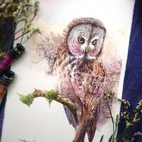 Great grey owl - ORIGINAL watercolor painting 7.5x11 inches