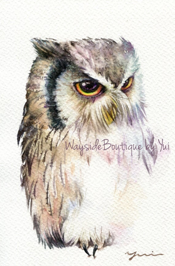 PRINT - White faced owl Watercolor painting 7.5 x 11