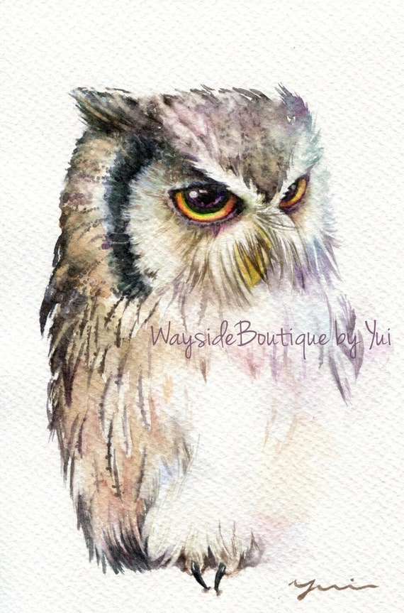 PRINT – White faced owl Watercolor painting 7.5 x 11”
