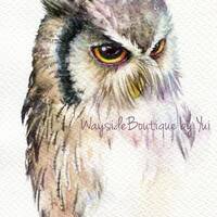 PRINT - White faced owl Watercolor painting 7.5 x 11