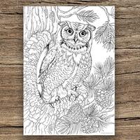 Owl - Printable Adult Coloring Page from Favoreads Coloring book pages for adults and kids C...