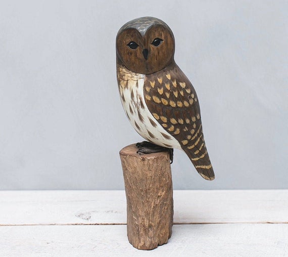 Barred Owl - 13"H - Hand Carved Wooden Bird