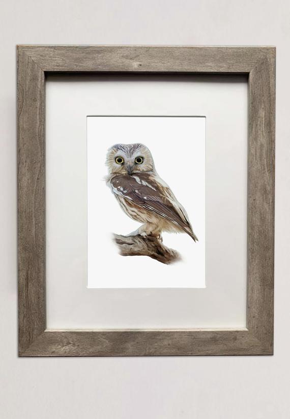Northern Saw-whet Owl- 5x7 inch Print of Oil Painting