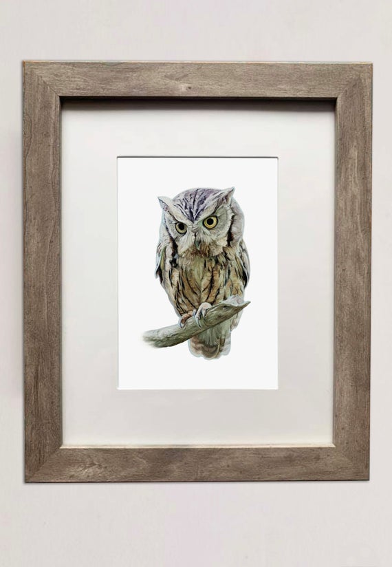 Eastern Screech Owl- 5x7 inch Print of Oil Painting